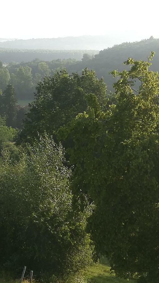 Gites Du Chene Vert Montignac-Lascaux Exteriér fotografie