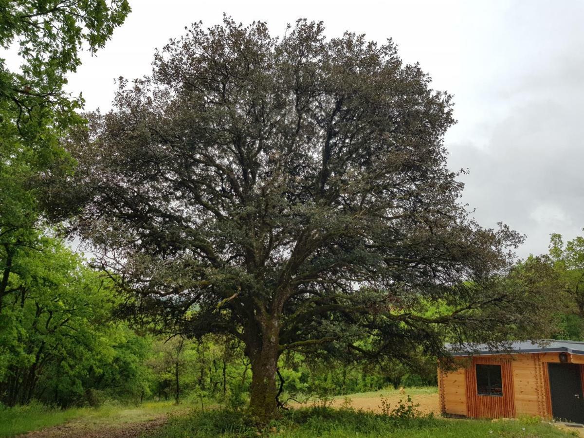 Gites Du Chene Vert Montignac-Lascaux Exteriér fotografie